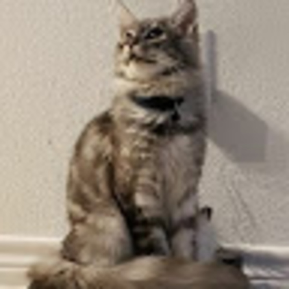 Meet your Posher, Beca